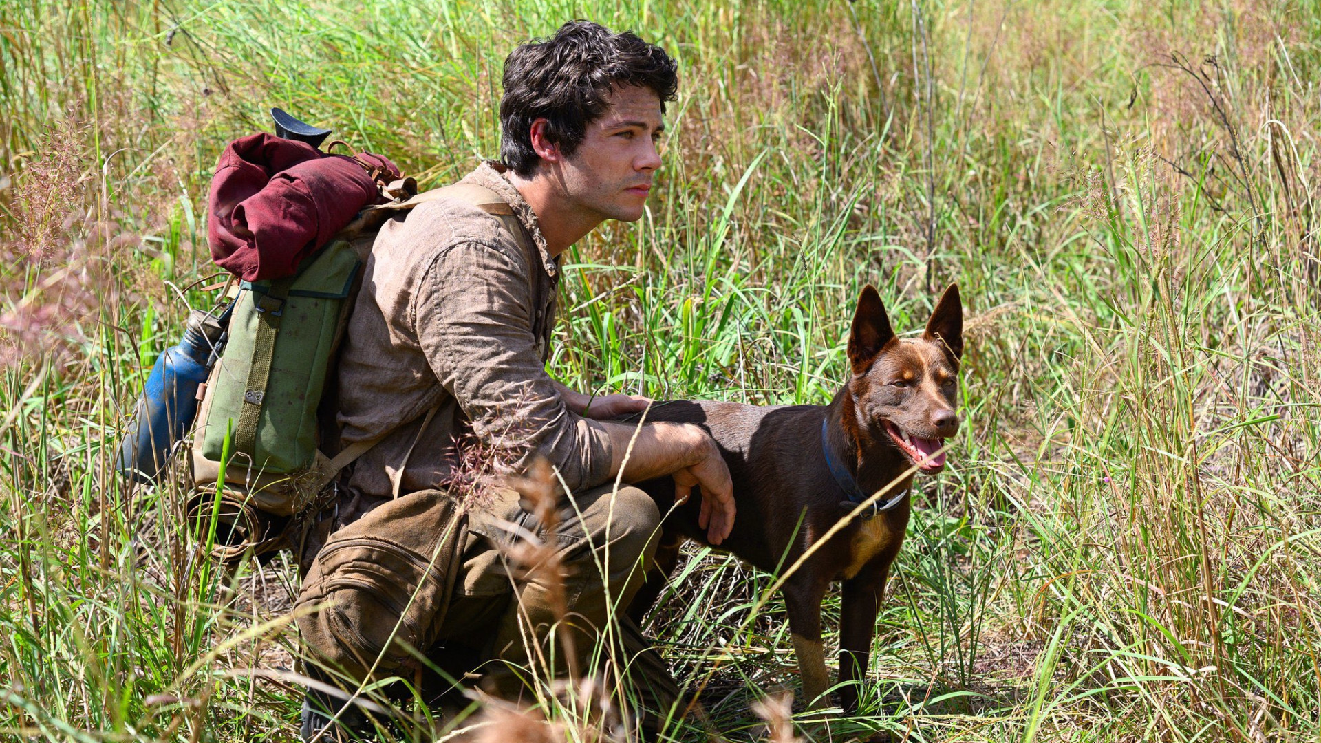 Love and Monsters 2020 - aventure Netflix