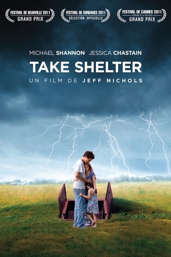 Affiche Take Shelter (2011)