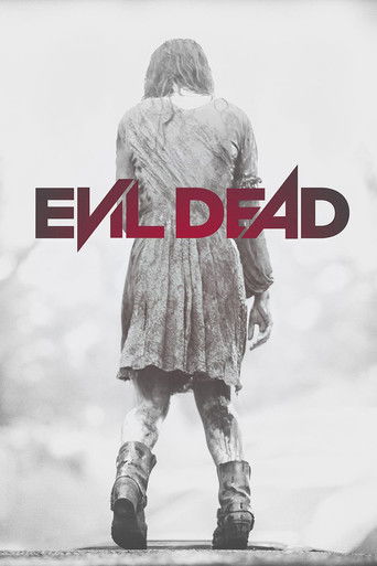 Affiche Evil Dead (2013)